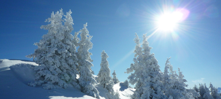 04_Winter.jpg