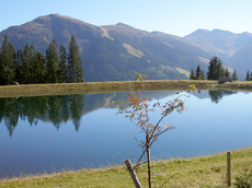 Bergsee im Herbst